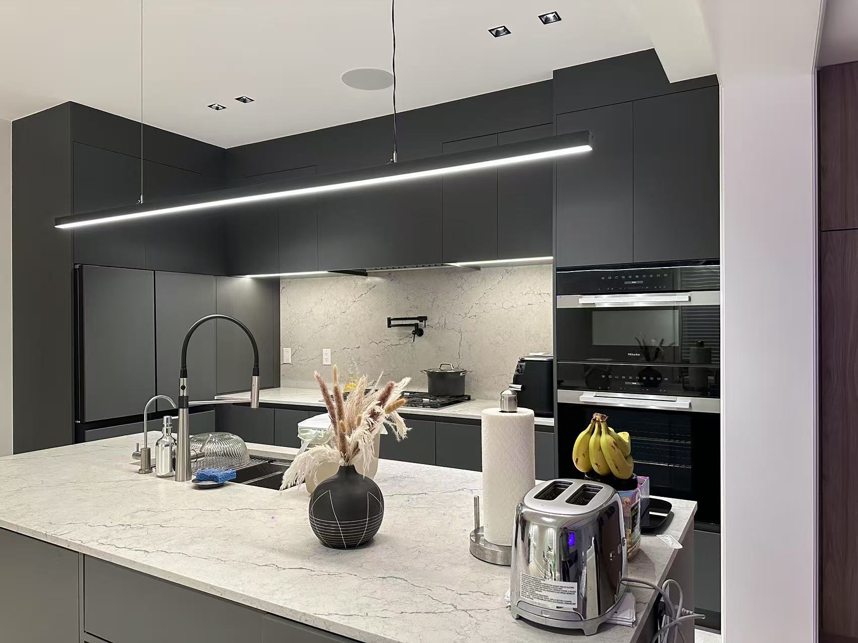 Modern Kitchen in Toronto