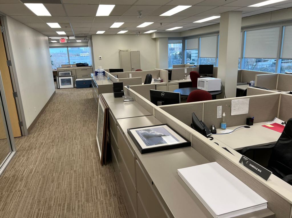 professional painter in Toronto 